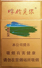 云烟(呼伦贝尔碧草云天)